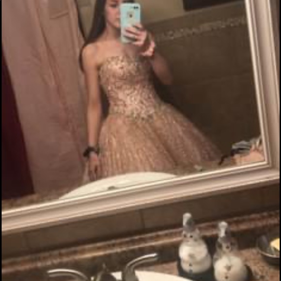 Dresses & Skirts - Wedding/Quinceanera dress